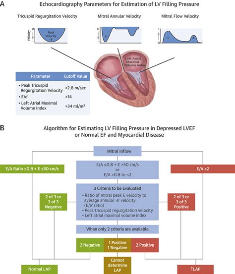 lv function afib